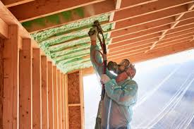 Best Insulation Removal  in Nett, MO